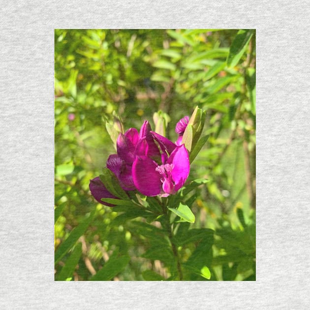 Purple flower by TerraDumont